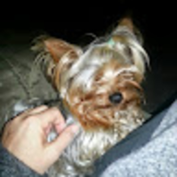 Meet your Posher, Julie - Picture 1 of 1